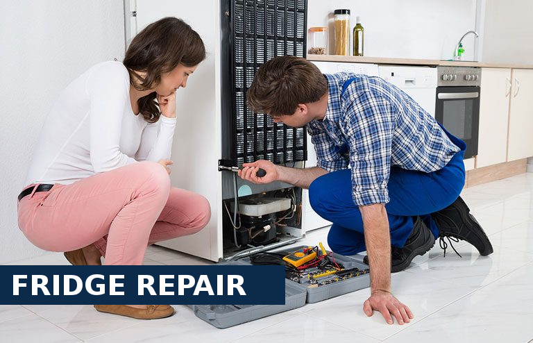 Fridge Repair Brixton